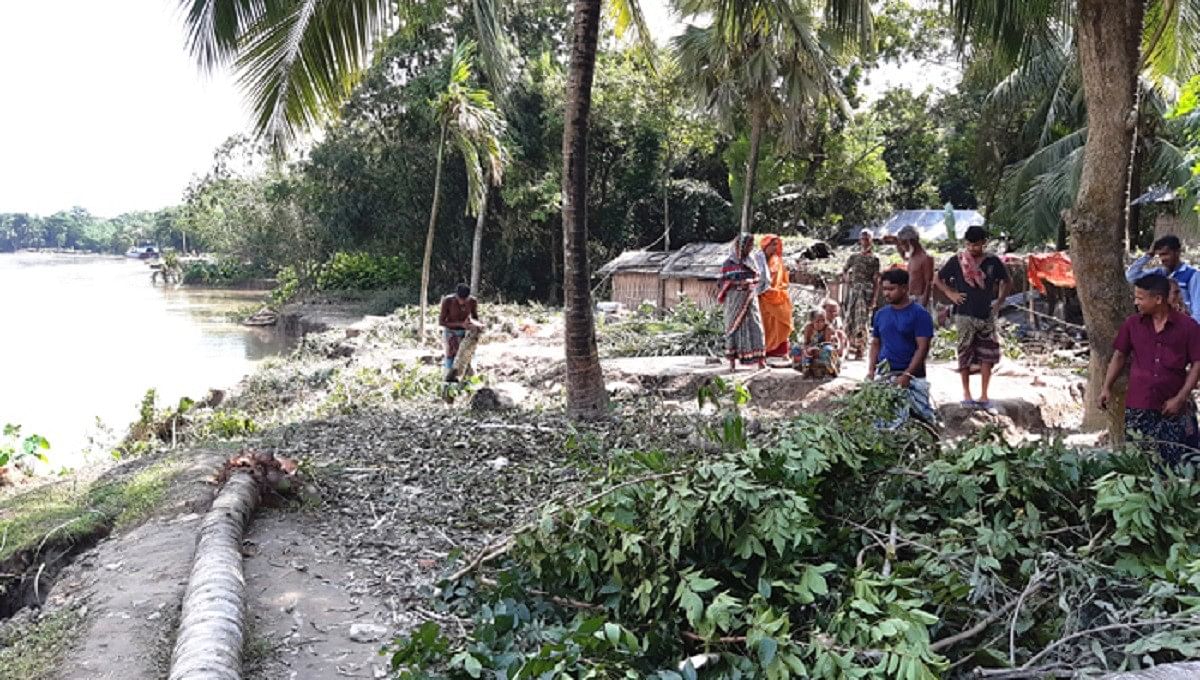 People cut trees and shift homes due to the erosion of Madhumati river in Alfadanga upazila of Faridpur. Photo: UNB