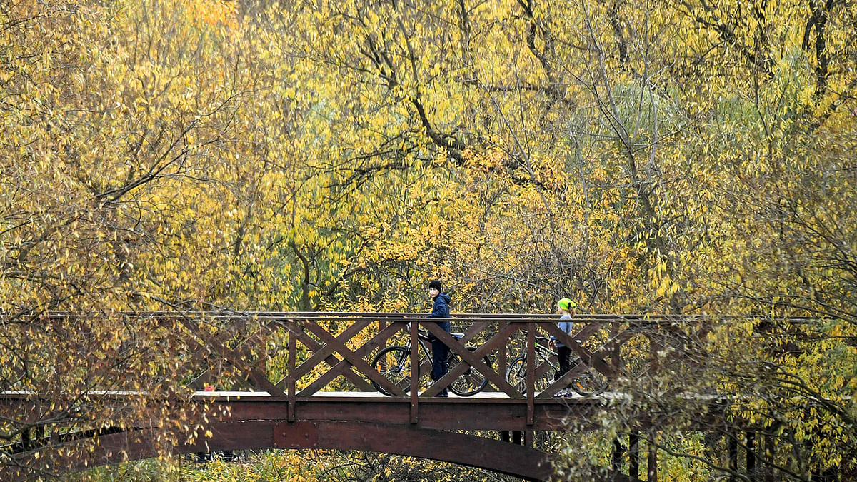 Children ride their bicycles in a park on the outskirts of Moscow on 19 October 2019. Photo: AFP