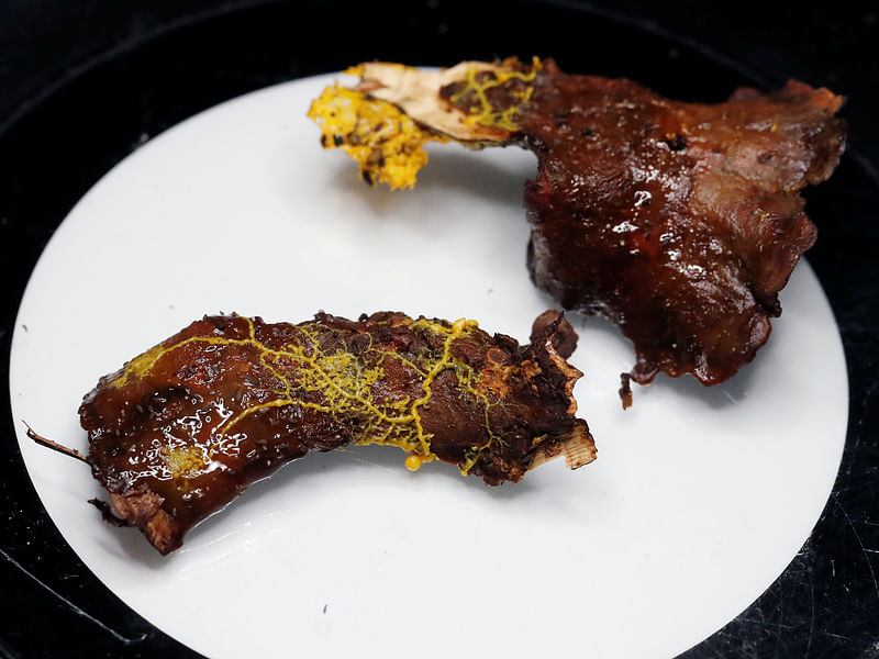 The `blob`, slime mould (Physarum polycephalum), a single-celled organism forming over over a pieces of tree chunk, is pictured at the Paris Zoological Park during a press preview in Paris, France, 16 October 2019. Photo: Reuters