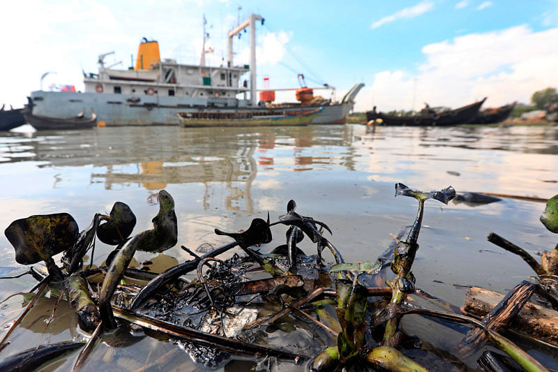In this photograph taken on 26 October, 2019 vegetation covered in oil is seen after diesel spilled into the Karnaphuli river following a collision of two tankers at Padma jetty in Chittagong. Photo: AFP