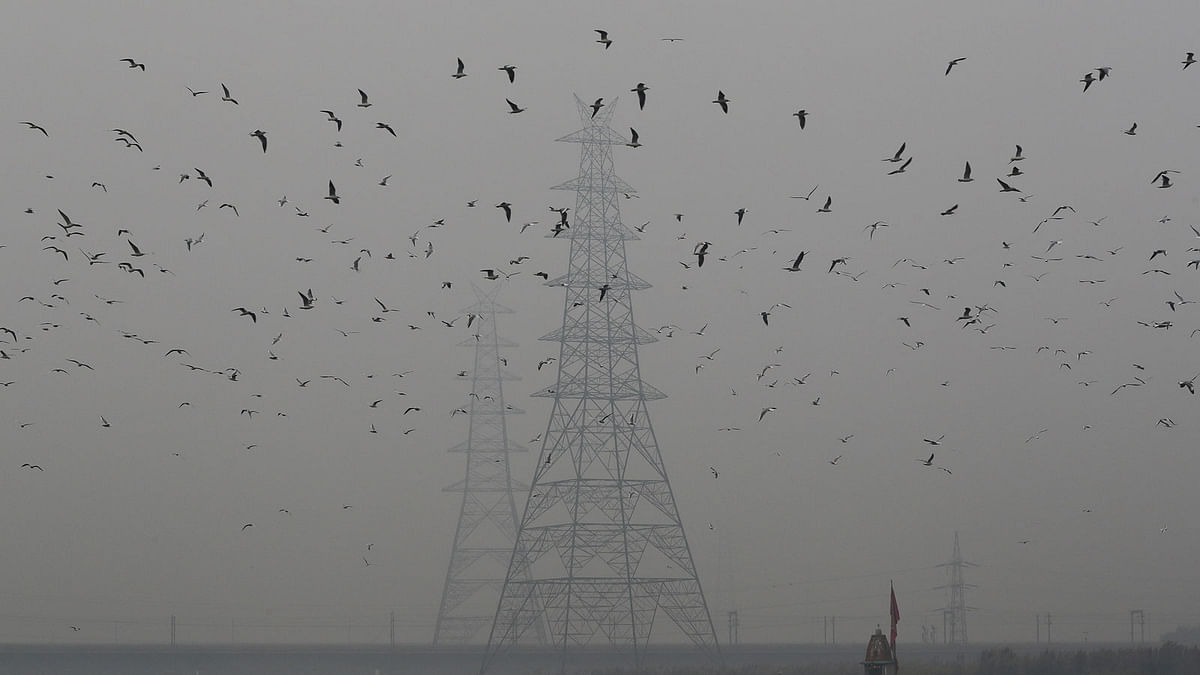 Birds fly next to electricity pylons on a smoggy afternoon in the old quarters of Delhi, India, on 30 October 2019. Photo: Reuters