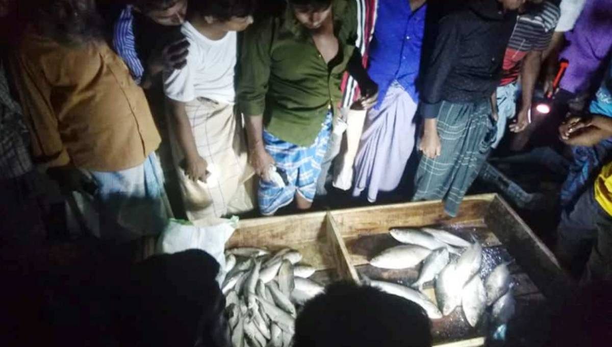 Hilsa fishing resumes after 22-day ban. UNB File Photo