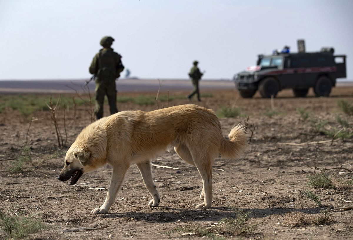 A dog passes as Russian soldiers gather in the countryside of Darbasiyah town in Syria`s northeastern Hasakeh province on 1 November 2019. Photo: AFP