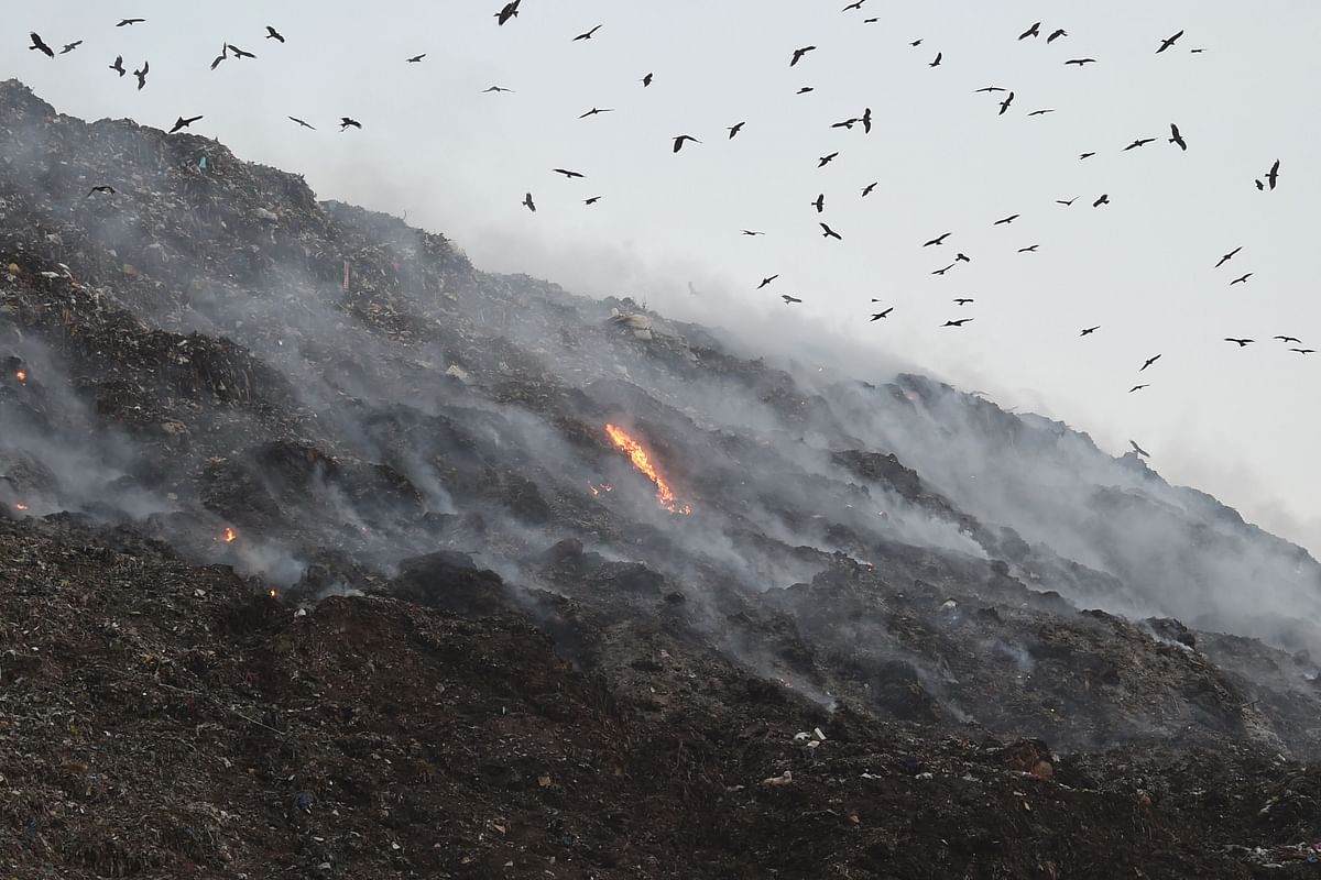 Birds fly as smoke billows from a fire in a landfill on the outskirts of Ahmedabad on 4 November 2019. Photo: AFP