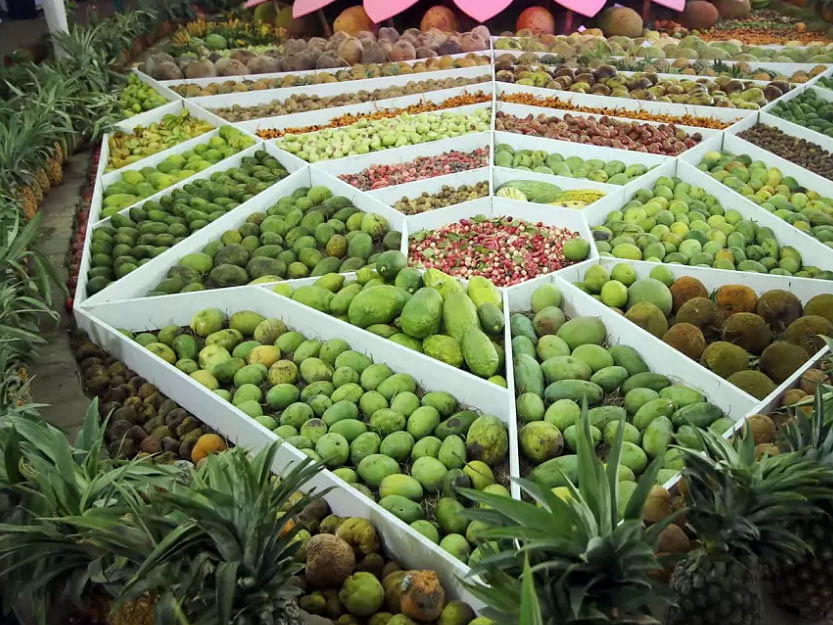 Fruit production increases by 11 per cent on an average annually in Bangladesh in the past few years. Photo: Prothom Alo