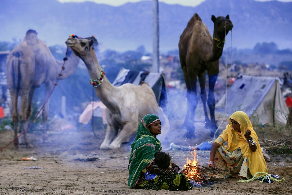 Members of a camel trading family sit around a fire in the early morning next to the animals at the Pushkar Camel Fair in Pushkar, in the western state of Rajasthan, on 6 November 2019. Photo: AFP