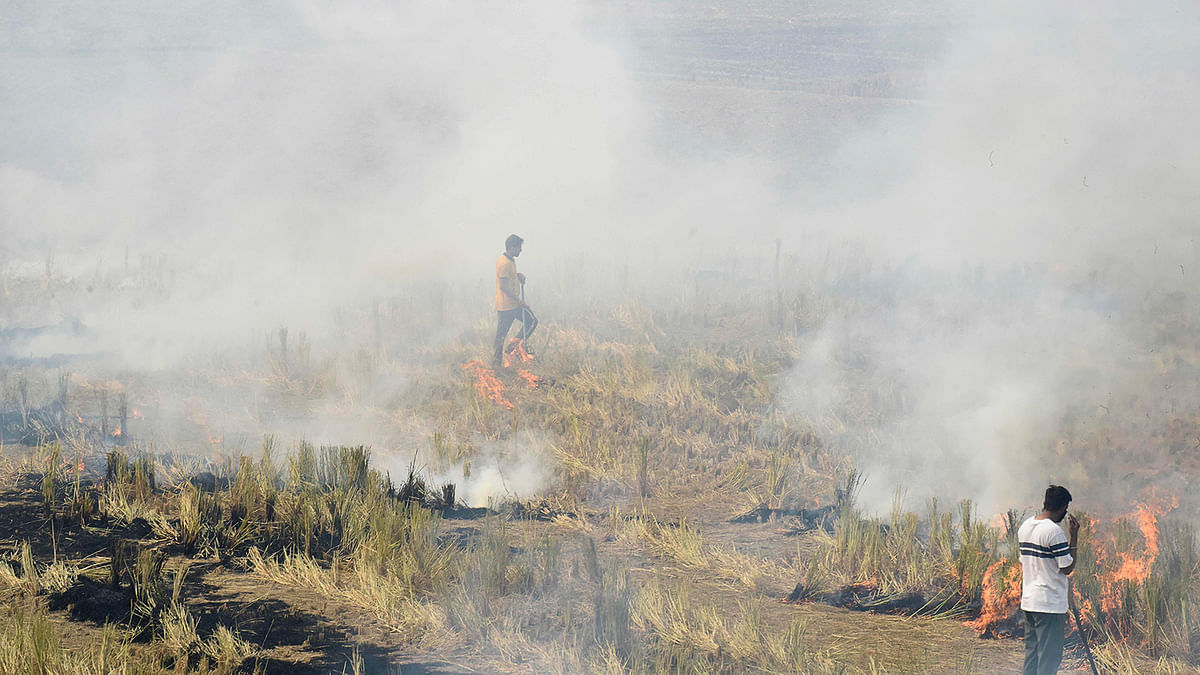 In this photo taken on 6 October 2019, farmers burn straw stubble after harvesting paddy crops in a field at a village near Sultanpur Lodhi. India`s Supreme Court has issued a blanket ban on stubble burning in Punjab Haryana and UP to keep Delhi’s air quality from getting worse. Photo: AFP