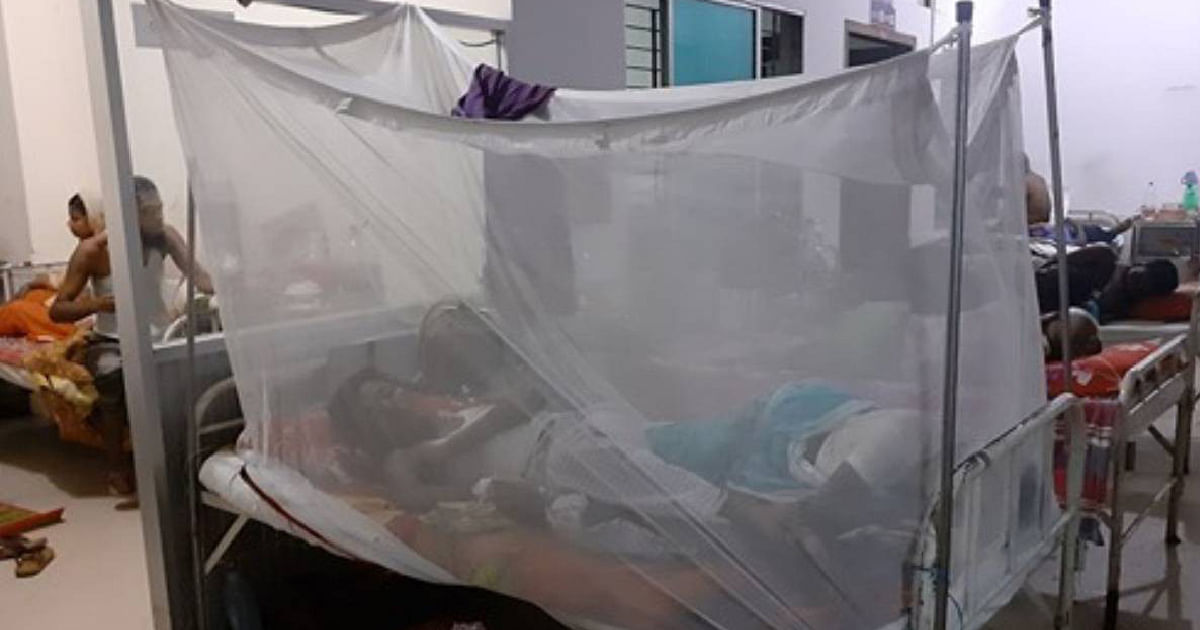 Dengue patients undergo treatment at a hospital. UNB File Photo