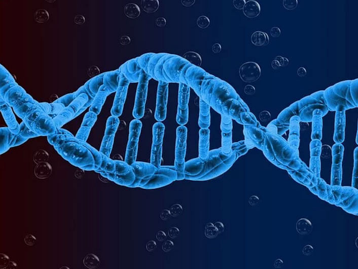 A specific gene makes certain compounds taste bitter. Pixabay illustration