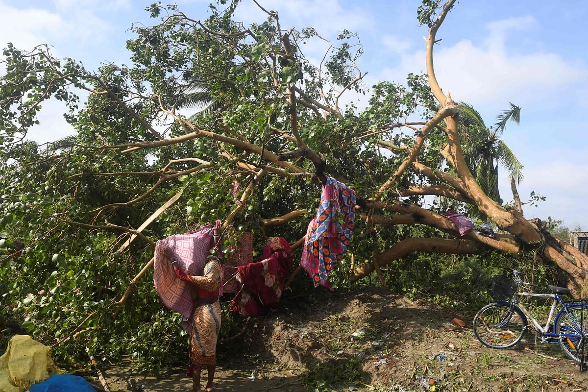 A woman hangs clothes on an uprooted tree after Cyclone Bulbul hit the area in Bakkhali on 10 November 2019. Six people have died and more than two million others spent a night huddled in storm shelters as cyclone Bulbul smashed into the coasts of India and Bangladesh with fierce gales and torrential rains, officials said on 10 November. Photo: AFP