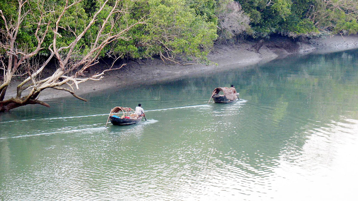 Sundarbans again saves Bangladesh from cyclonic storm. Prothom Alo File Photo