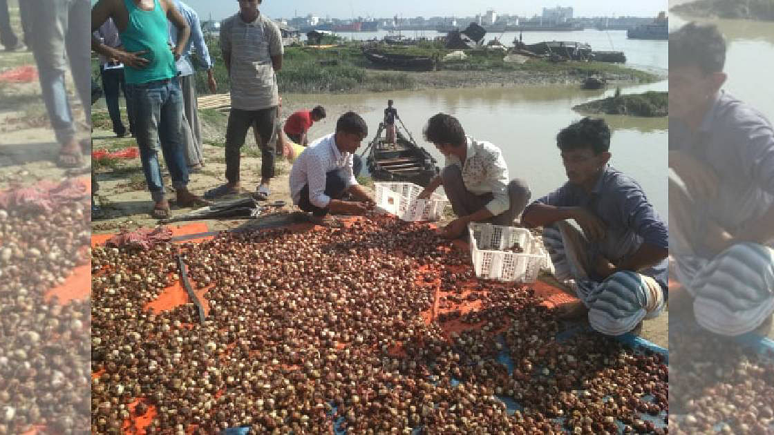 Local people sorting rotten onion found dumped in Chaktai canal adjacent to Karnaphuli river on 16 November, 2019. Photo: UNB.