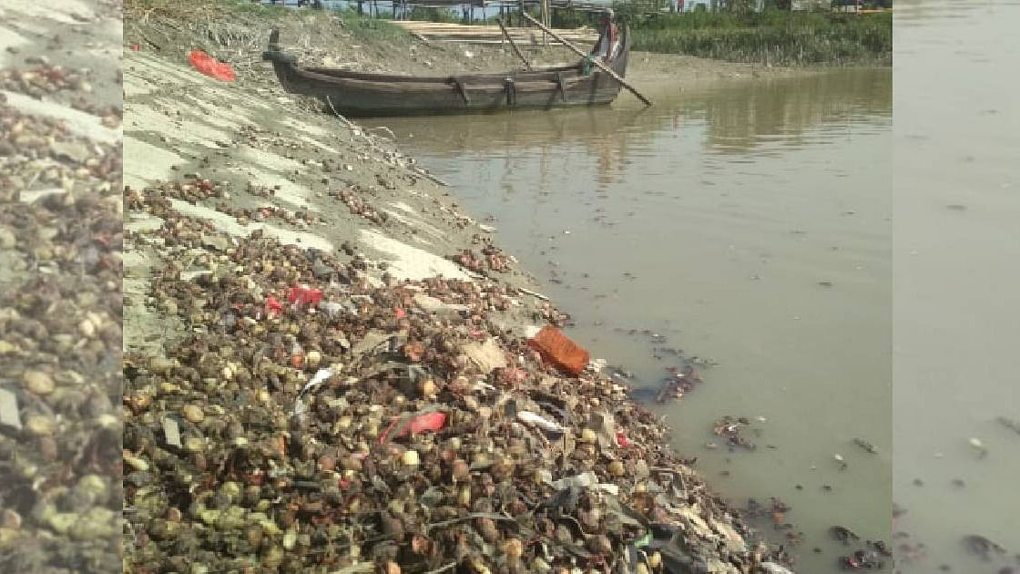 Rotten onion found dumped in Chaktai canal adjacent to Karnaphuli river on 16 November, 2019. Photo: UNB.