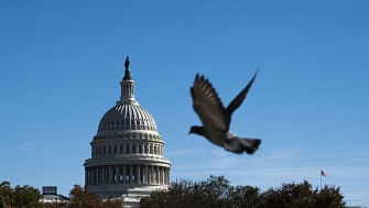 A bird flies past the Capitol dome as Amb. William Taylor And Deputy Assistant Secretary Of State George Kent testify at the impeachment hearing in Longworth House Office Building on Capitol Hill on 13 November 2019 in Washington, DC. Photo: AFP