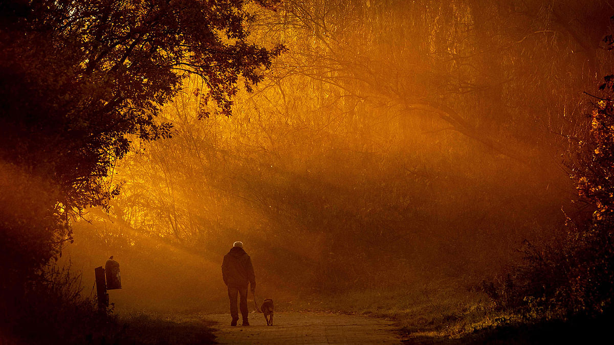 A man walks a dog as sun rises in Hanover, northern Germany, on 14 November. Photo: AFP