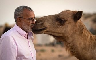 Saharawi camel owner Habiboullah Dlimi poses with one of his animals in the desert near Dakhla in Morocco-administered Western Sahara on 13 October 2019. Photo: AFP