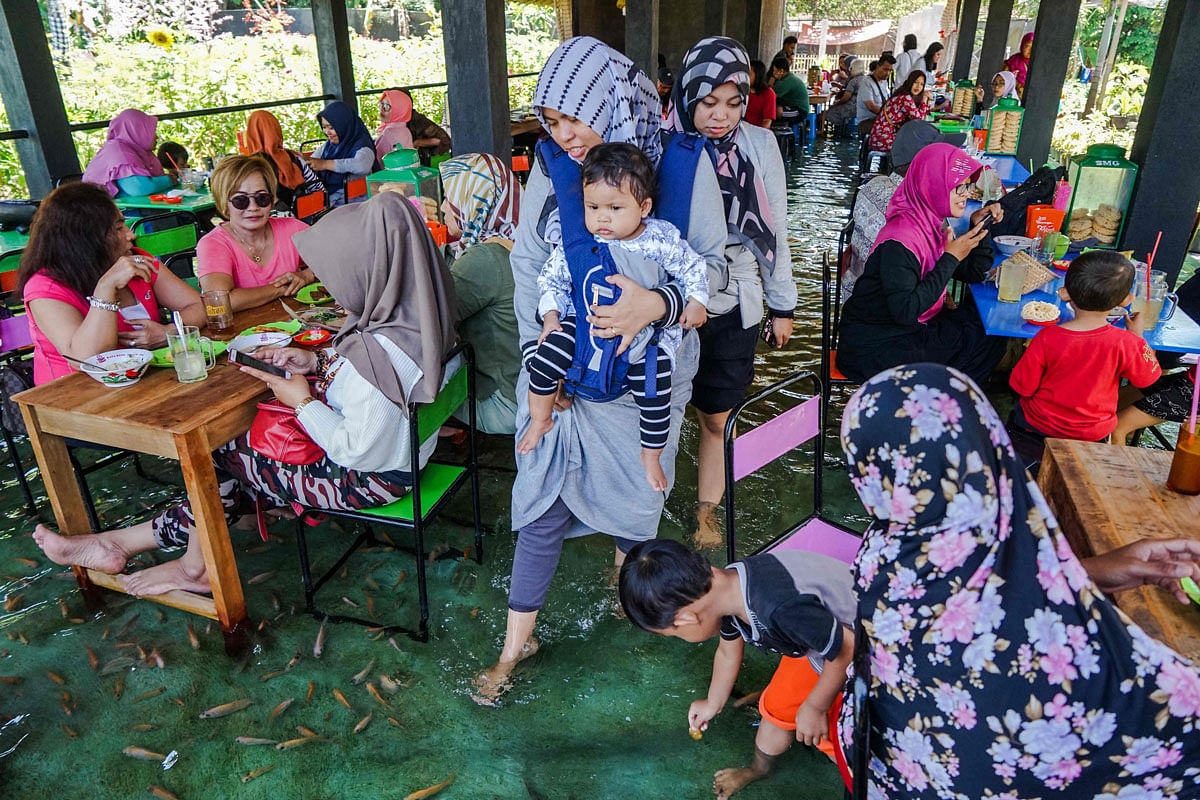 This picture taken on 15 November shows Indonesian diners having lunch while fish bite their feet at a fish pool restaurant at Wedomartani village in Yogyakarta. Photo: AFP