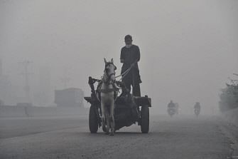 A man rides his horsecart amid heavy smog conditions in Lahore on 21 November 2019. Photo: AFP