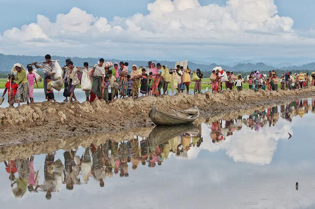 Influx of Rohingya refugees in Bangladesh amid military-led crackdown in Rakhine state of Myanmar. Photo: Syful Islam