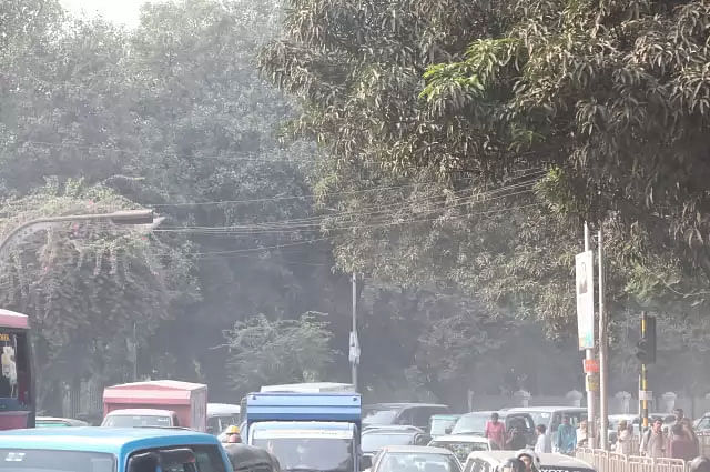 Dhaka city`s roadside trees are threatened by air pollution. Photo: Abdus Salam