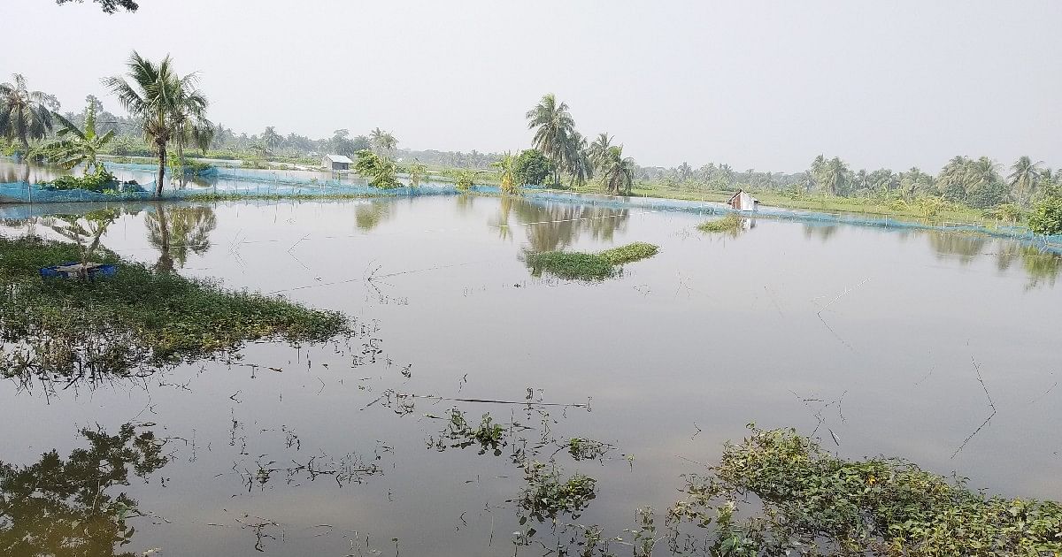 A shrimp farm in the coastal district of Bagerhat.