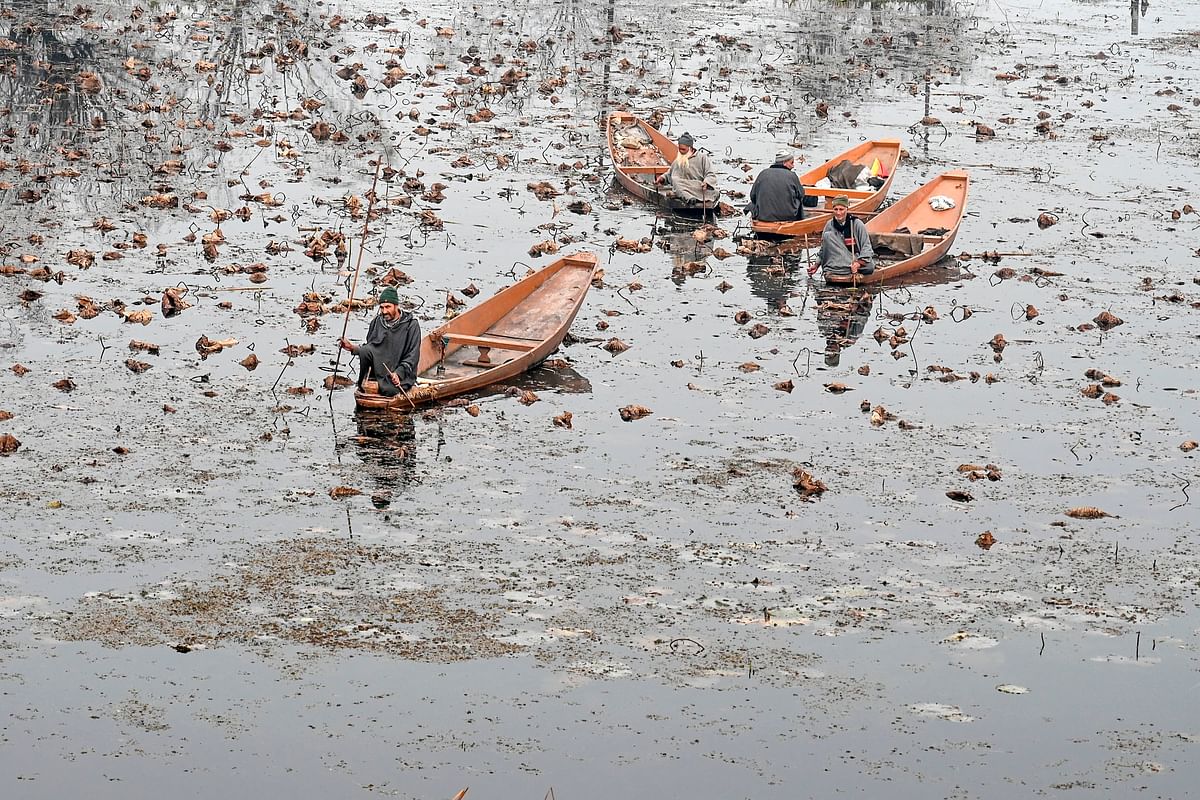 Men steer boats in Nigeen Lake during a cold day in Srinagar on 26 November 2019. Photo: AFP