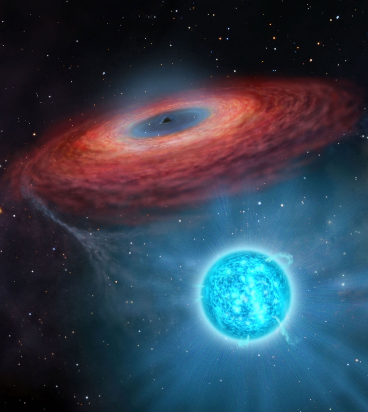 This handout received from the Beijing Planetarium via the China Academy of Sciences on 26 November 2019 shows a rendering by artist Yu Jingchuan of the accretion of gas onto a stellar black hole from its blue companion star, through a truncated accretion disk. Astronomers have discovered a black hole in the Milky Way so huge that it challenges existing models of how stars evolve, researchers announced on 28 November. Photo: AFP