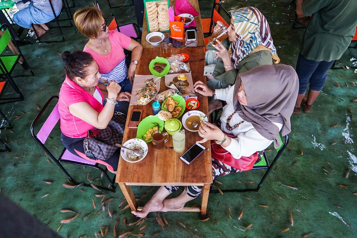 his picture taken on 15 November 2019 shows Indonesian diners having lunch while fish bite their feet at a fish pool restaurant at Wedomartani village in Yogyakarta. Photo: AFP