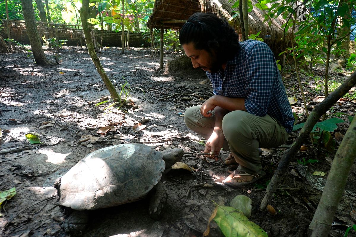 In this picture taken on 12 October 2019, a conservationist feeds an Asian giant tortoise at the Turtle Conservation Centre at a forest reserve in Rajendrapur, some 40 kilometres (25 miles) north of capital Dhaka. The newly hatched tortoises take their first steps in a small box, their feet barely visible under bony shells. Photo: AFP