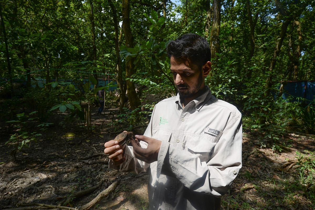 In this picture taken on 12 October 2019, conservationist Shahriar Caesar Rahman holds an Asian giant baby tortoise at the Turtle Conservation Centre at a forest reserve in Rajendrapur, some 40 kilometres (25 miles) north of capital Dhaka. Photo: AFP