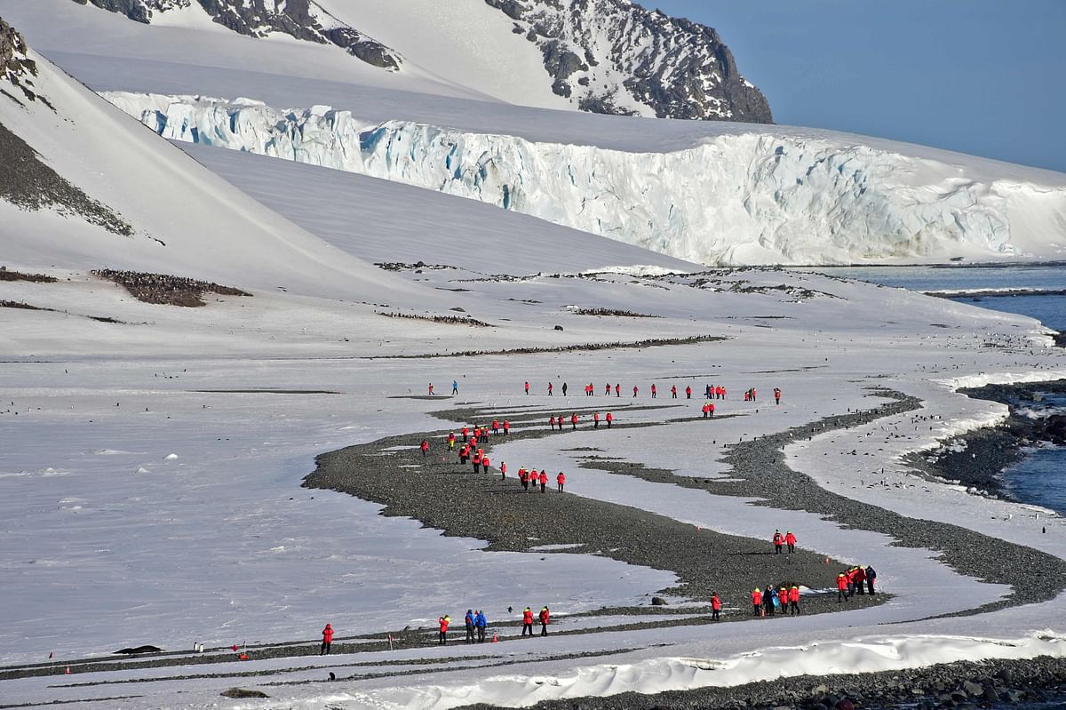 Tourists visit Yankee Harbour in the South Shetland Islands, Antarctica, on 6 November 2019. Photo: AFP