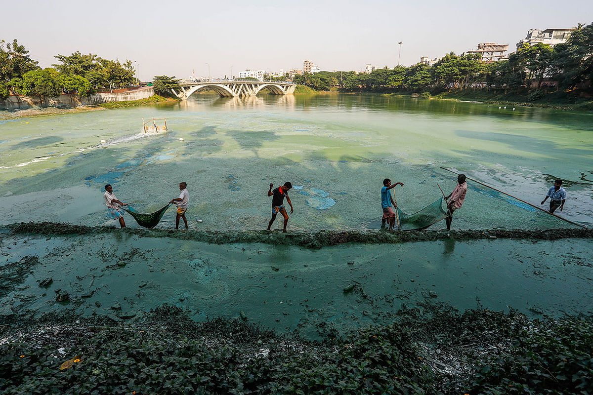 Workers clean up algae from the water of the lake. This photo taken on 28 November. Photo: Dipu Malakar