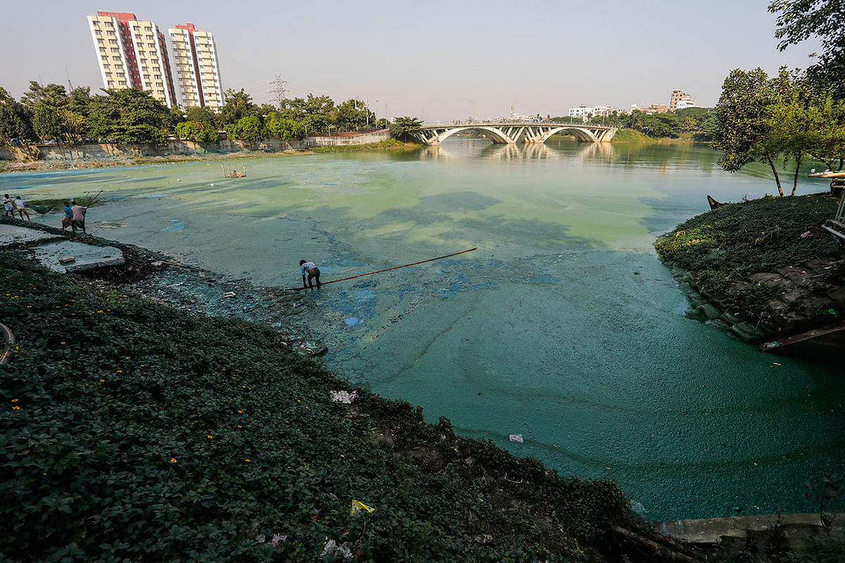 Algae change colour of the lake`s water. This photo taken on 28 November. Photo: Dipu Malakar