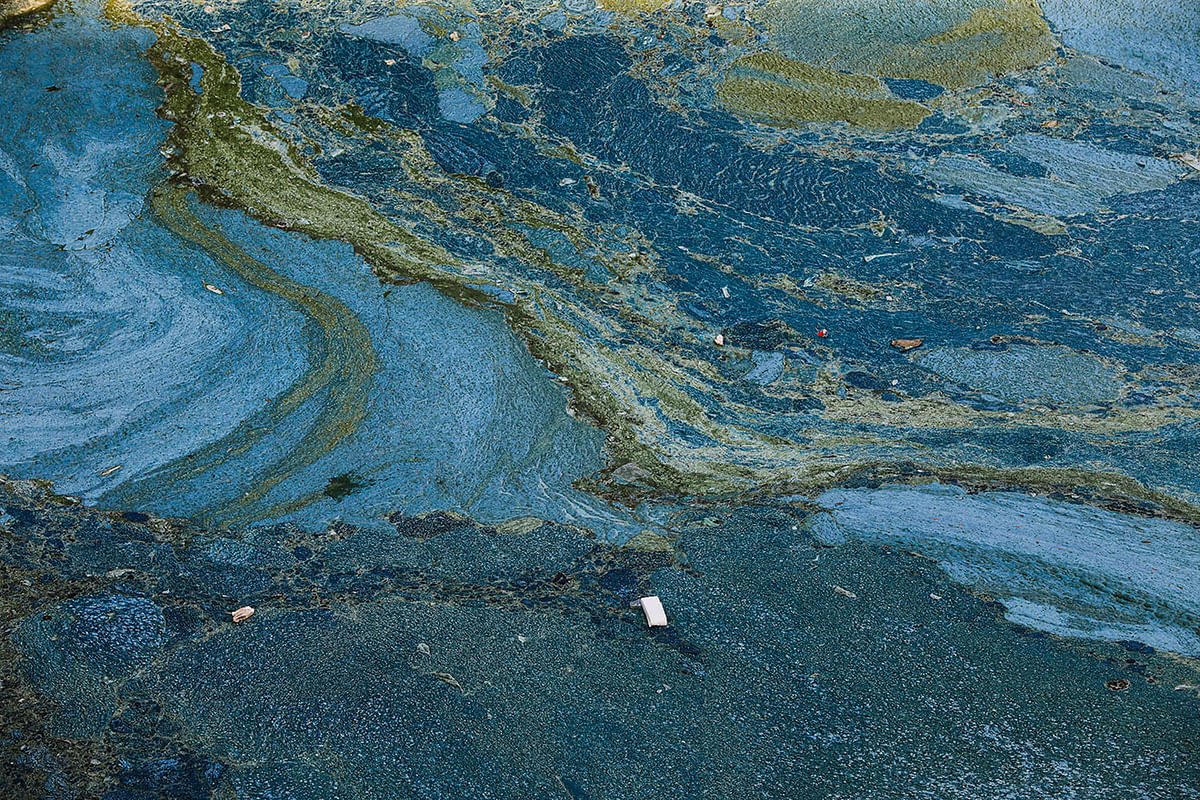 Foul-smelling algae form a layer on water of the lake. This photo taken on 28 November. Photo: Dipu Malakar