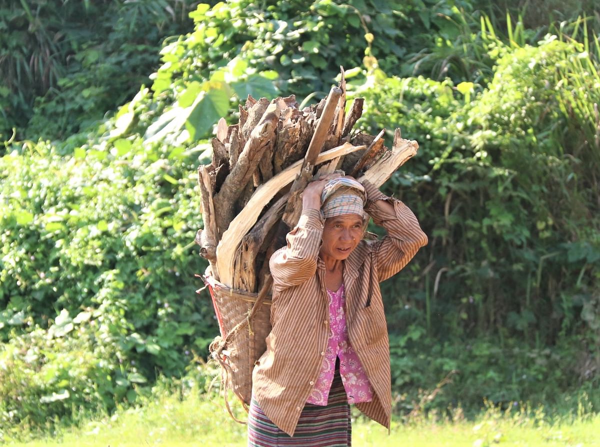 A woman returns home collecting timber at Shimujjechhora in Rangamati on 27 November, 2019. Photo: Supriya Chakma