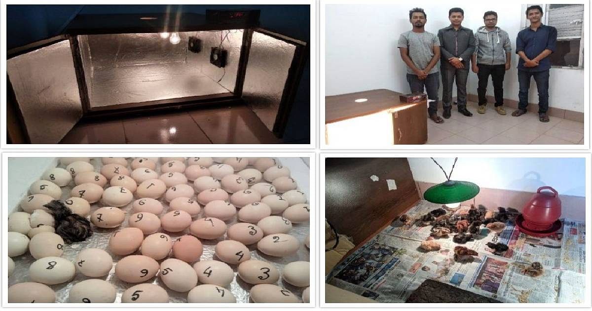 A group of researchers of Sylhet Agricultural University made a solar-powered incubator. Photo: UNB