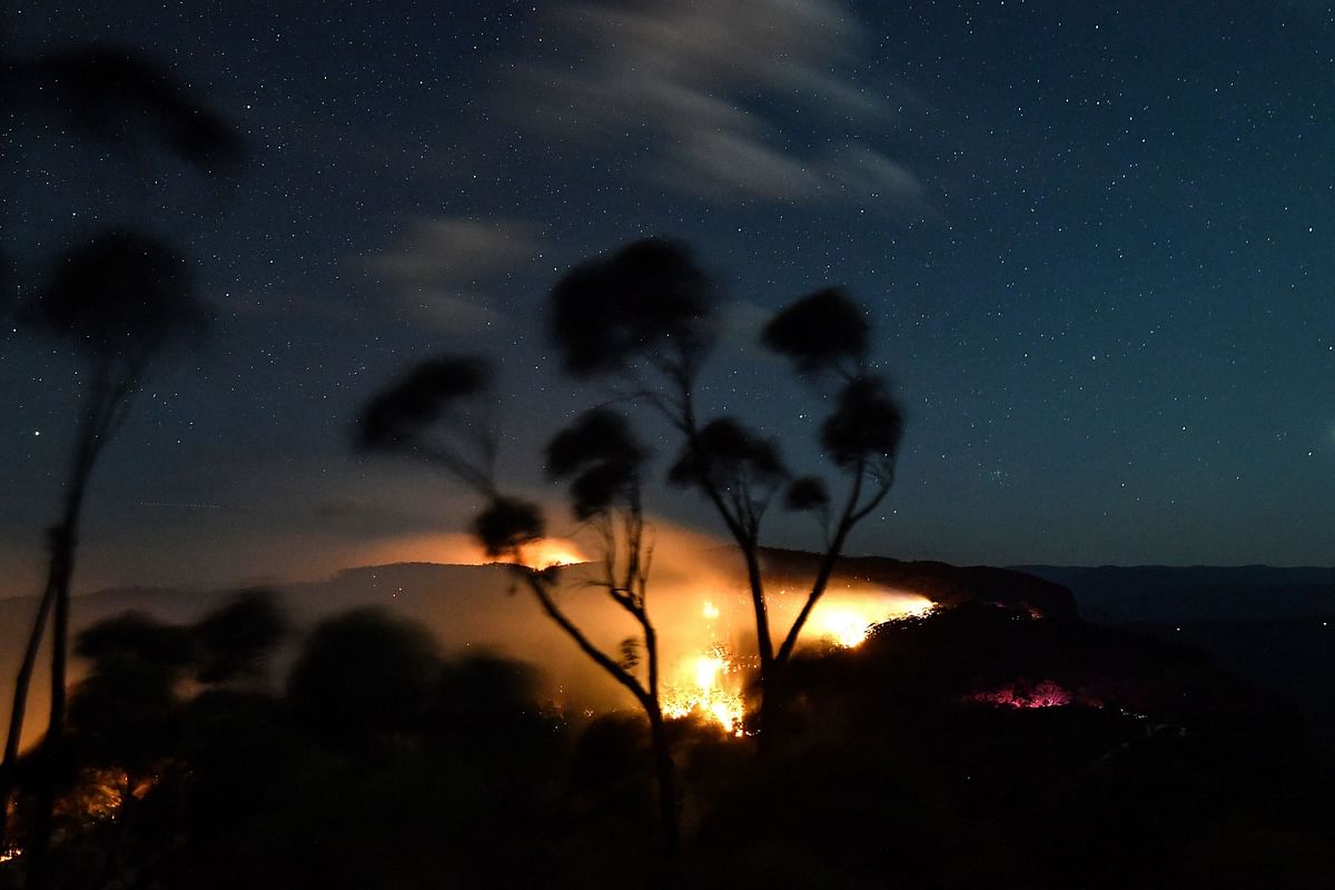 A bushfire burns out of control in the Blue Mountains of the New South Wales on 2 December 2019. Photo: AFP
