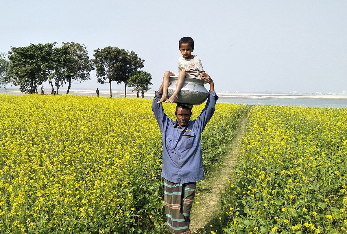 A man carries a child in a pot through a mustard field at Char Khidirpur, Poba in Rajshahi on 2 December 2019. Photo: Shahidul Islam