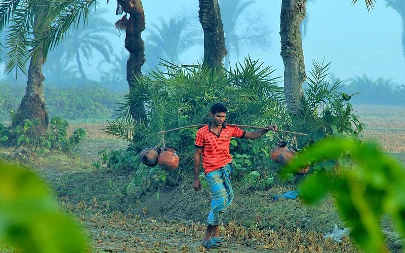 A man setting off for selling date palm juice in the winter morning on 1 January at Kashimpur, Jashore. Prothom Alo File Photo
