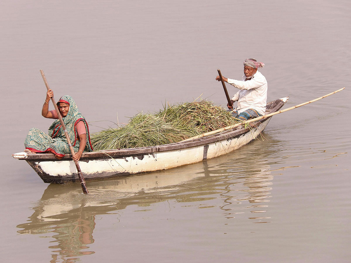 People cross river Padma on a boat carrying fodder at Sadipur, Faridpur on 11 December 2019. Photo: Alimuzzaman