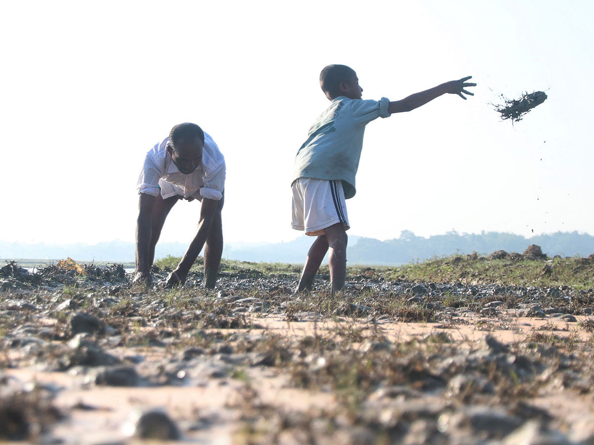 A man and a child prepare seed bed on a haor bed that has been dried in the winter at Bakgul Haor, Sylhet on 11 December 2019. Photo: Anis Mahmud