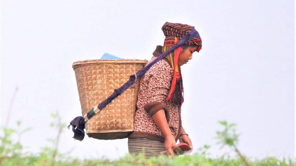 An indigenous woman with a basket on her back walks to field for work at Khedarmara, Baghaichhari in Rangamati on 10 December 2019. Photo: Supriya Chakma