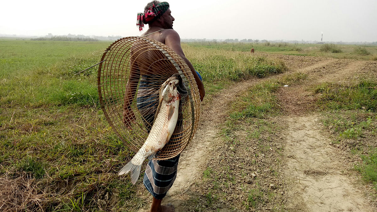 A man returns home after catching a fish at Aaijkandi, Faridpur on 12 December 2019. Photo: Alimuzzaman