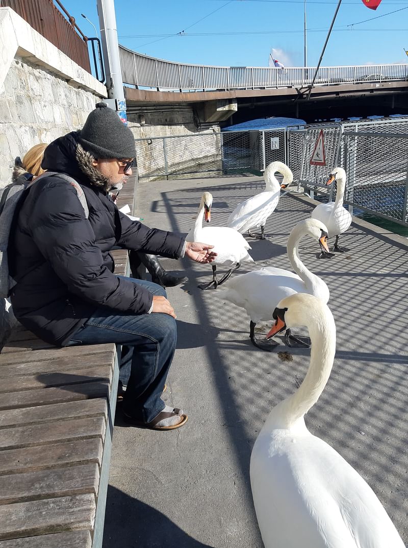 Srijit Mukherji with a bevy of swans. Photo: Facebook