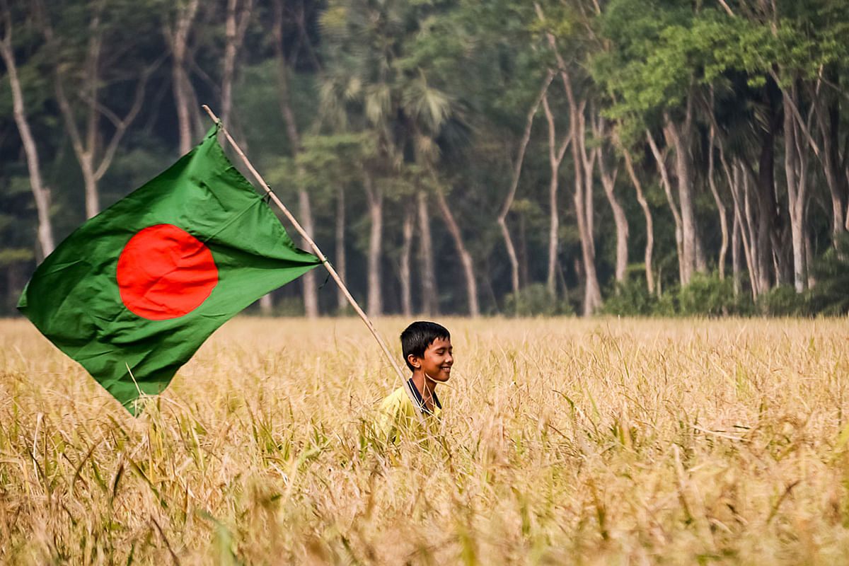 A child crosses a rice paddy field with a flag at Motasar, Barishal on 15 December 2019. Photo: Saiyan