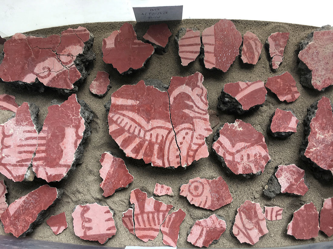 Recently discovered mural fragments depicting a bird are seen at the Tlajinga neighborhood of the ancient city of Teotihuacan. Photo: Reuters