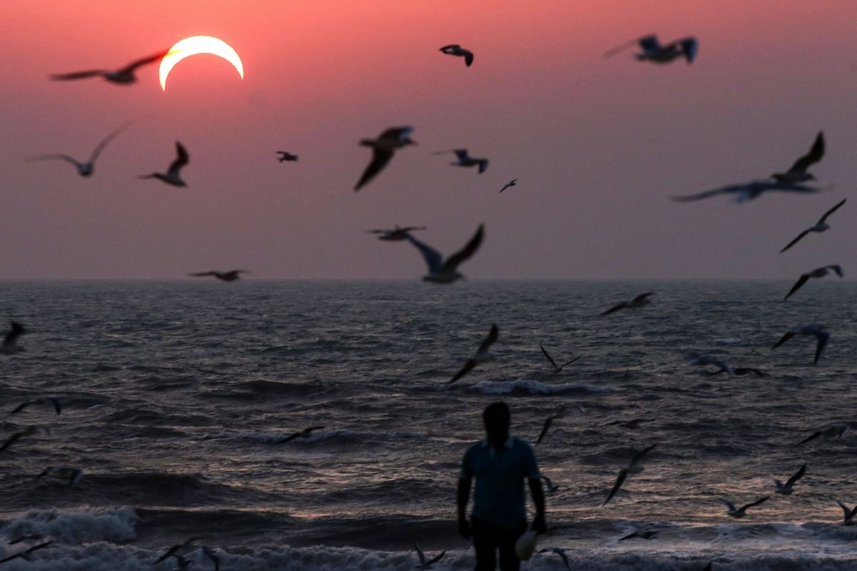This picture taken early on December 26, 2019 shows a man walking amdist seagulls along a beach in Kuwait City during the partial solar eclipse event. Photo: AFP