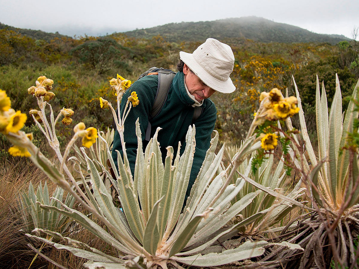 In this file photo taken on 1 October 2019 Colombian botanist Julio Betancur collects plants on his way to the Chingaza National Natural Park, northeast of Bogota. Photo: AFP