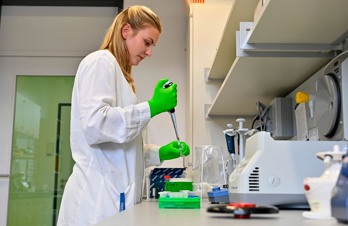 In this file photo taken on 7 August 2019 a lab assistant prepares mosquito legs for DNA mapping at a lab researching mosquito-borne diseases at the Friedrich Loeffler Institute (FLI), the Federal Research Institute for Animal Health, on the island of Riems, Greifswald, northern Germany. Photo: AFP