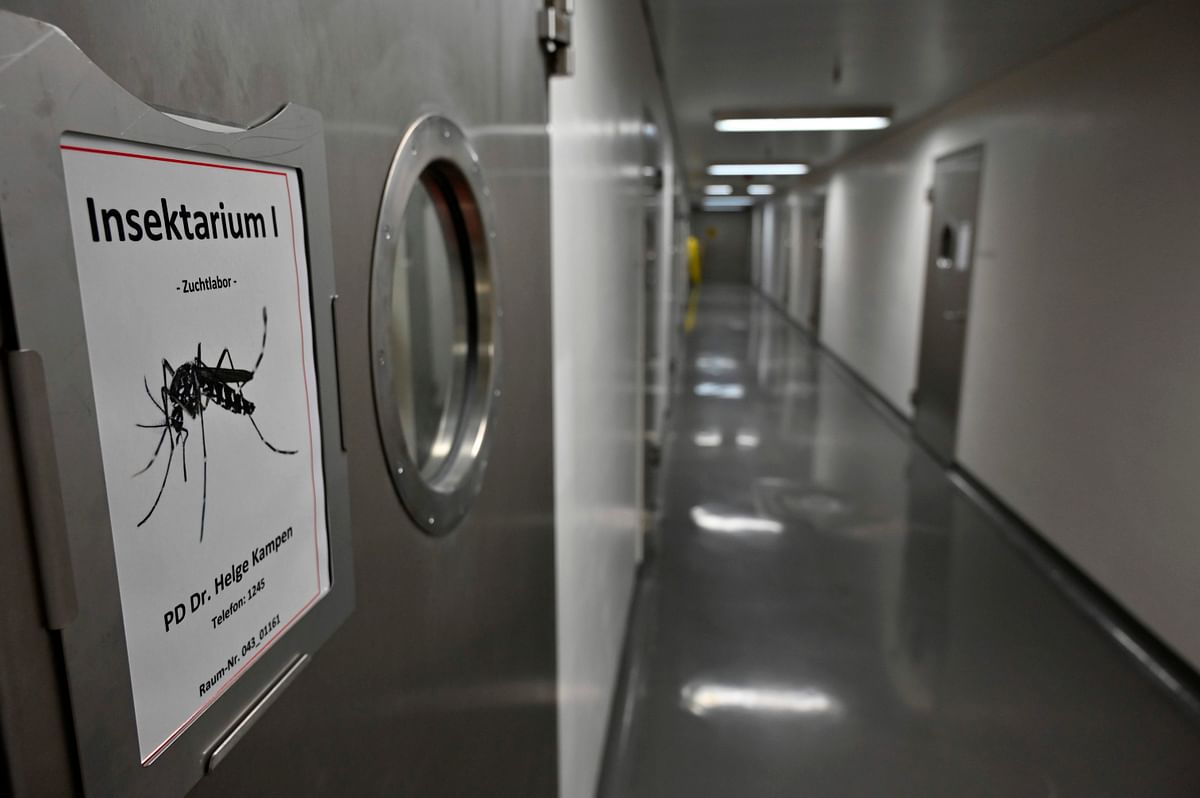 In this file photo taken on 7 August 2019 the `Insektarium` where mosquitoes are kept and bred for research purposes into mosquito-borne diseases is pictured at the Friedrich Loeffler Institute (FLI), the Federal Research Institute for Animal Health, on the island of Riems, Greifswald, northern Germany. Photo: AFP